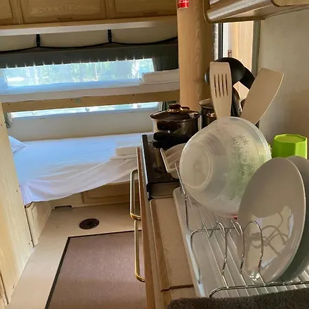 Forest Beach Caravan אתר קמפינג