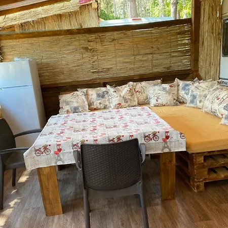 אתר קמפינג Forest Beach Caravan