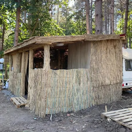 אתר קמפינג Forest Beach Caravan צ'רנומורץ