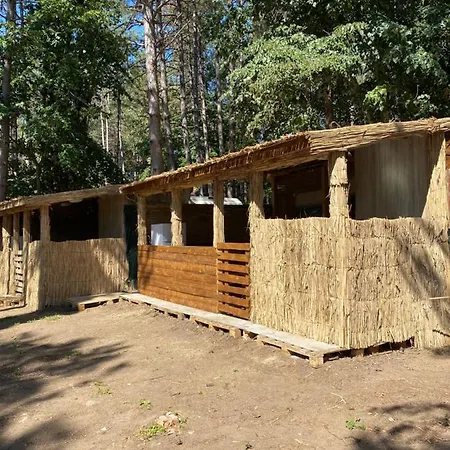 אתר קמפינג Forest Beach Caravan צ'רנומורץ