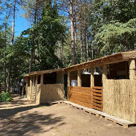 אתר קמפינג Forest Beach Caravan *